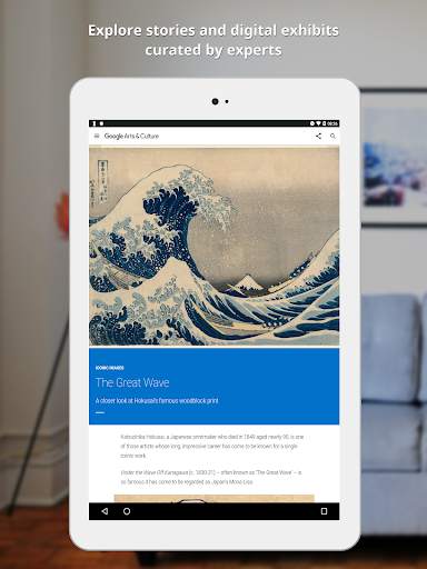 Google Arts & Culture screenshot 11