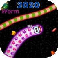 Worm Colections 2020 - Area Cacing Bermain icon