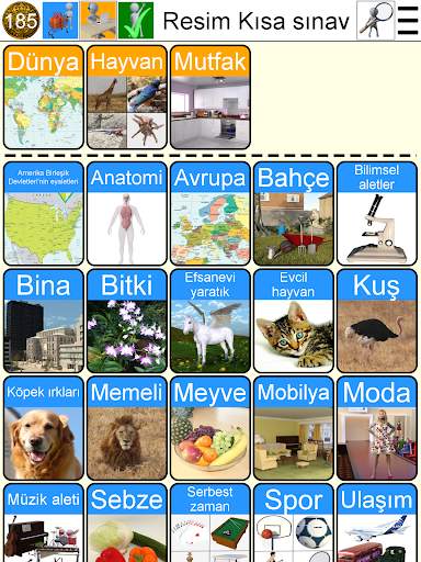 Resim Kısa sınav screenshot 18