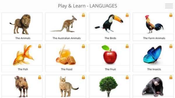 Play and Learn LANGUAGES screenshot 7