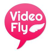 VideoFly 1.4