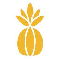 Ananapp أيقونة