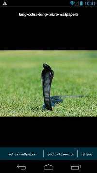 King Cobra Wallpapers screenshot 3