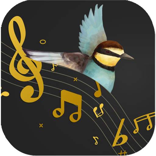 Best Bird Ringtone 1.0