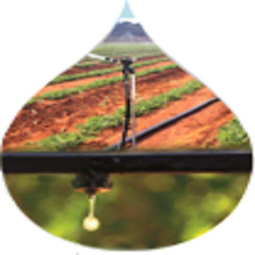 APMIP 6.9