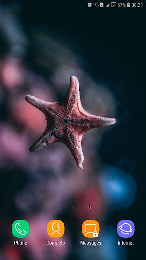 Starfish Wallpaper screenshot 13