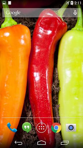 Hot Chili Peppers Wallpaper screenshot 1