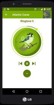 Bird Sounds And Ringtones screenshot 4