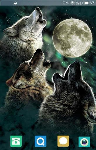 Wolf Wallpaper screenshot 1