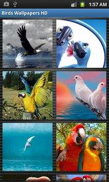 Birds Wallpapers HD скриншот 1
