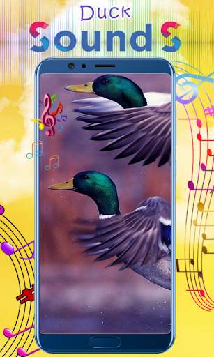 Duck Sounds 2 تصوير الشاشة