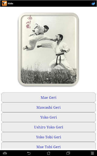 Karate in brief screenshot 17