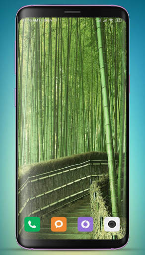 Bamboo Wallpaper HD screenshot 6