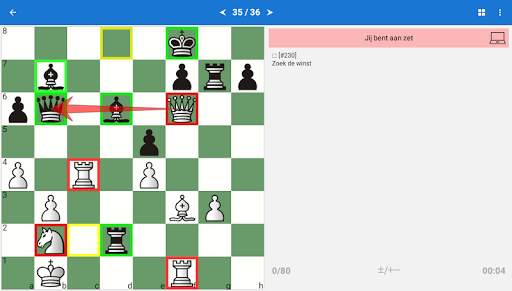 Chess King (Schaken & Puzzels) screenshot 11