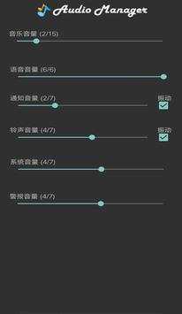 Audio Manager screenshot 2