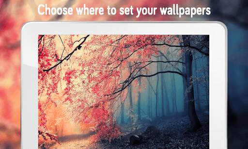Autumn Wallpaper (4k) screenshot 19