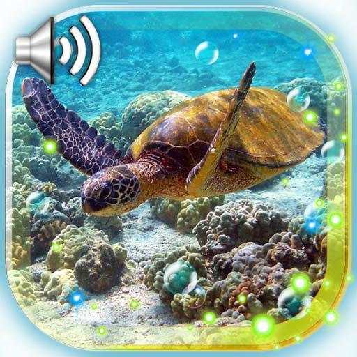 Tortoises Sea 1.11