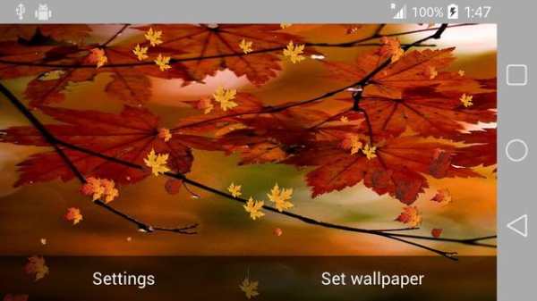 Nature Live Wallpaper screenshot 9