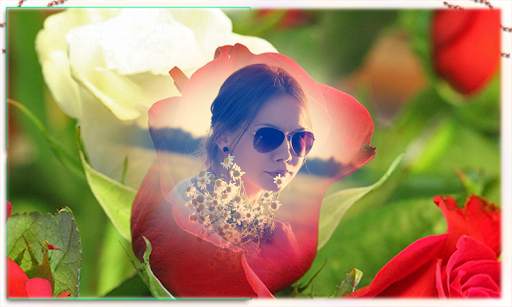 Rose HD Photo Frame screenshot 3