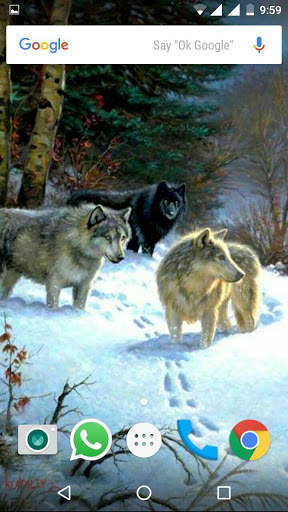 Wolf Wallpapers HD screenshot 4