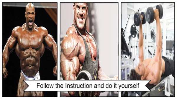 Bodybuilding Workout screenshot 3