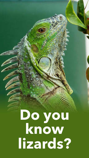 Animals Quiz - Learn All Mammals, Birds and more! screenshot 3