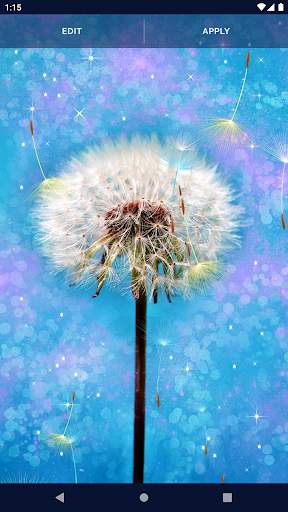 Dandelion Live Wallpaper screenshot 6