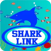 Shark Link Wild