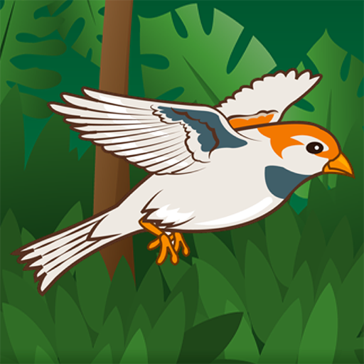 Ding Bird icon