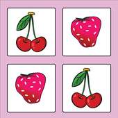 Fruit Matching Game logo