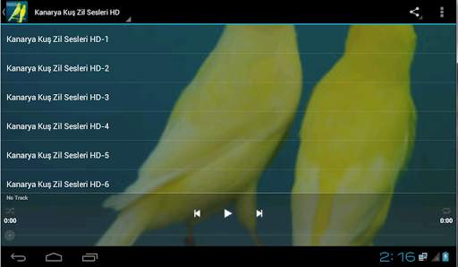 Kanarya Kuş Zil Sesleri HD screenshot 5