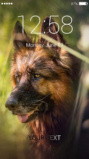 German Shepherd Dog Lock Screen screenshot 6
