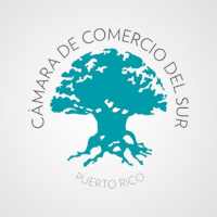 Camara Sur icon