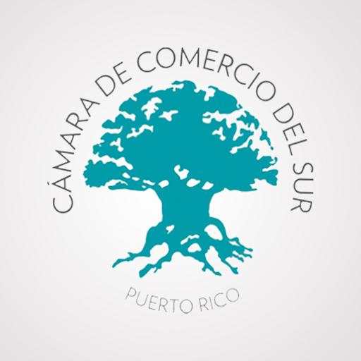 Camara Sur 2.6