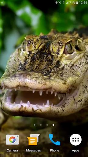Crocodile Live Wallpaper screenshot 4