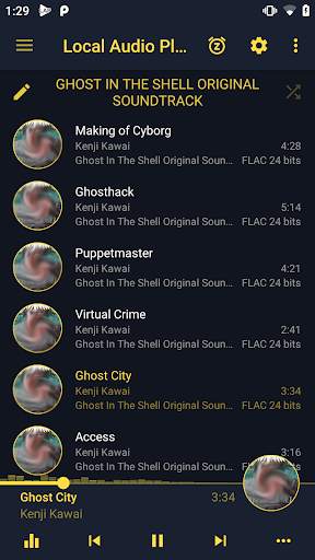 LAP - Local Audio Music Player screenshot 1