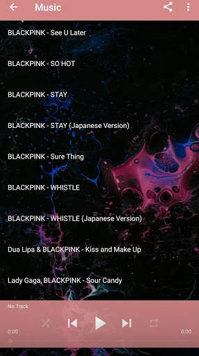 Blackpink Offline Music and Lyrics screenshot 3