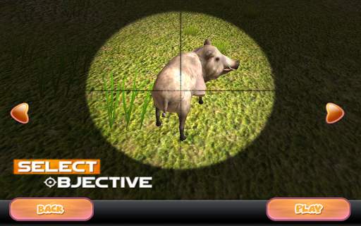 Jungle Hunting Sniper 2020 screenshot 6