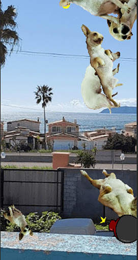 Doggy Ninja screenshot 1
