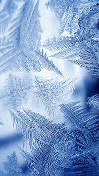 Frost Live Wallpaper screenshot 2