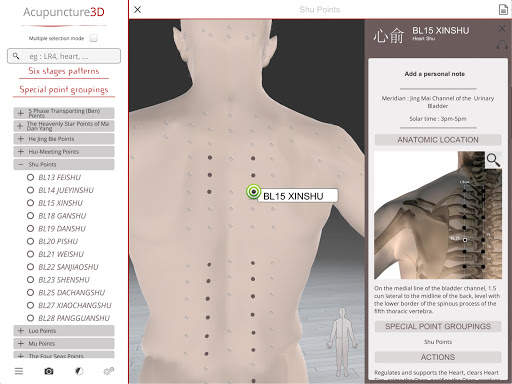 Acupuncture 3D screenshot 3