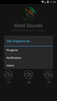 Birds (animal) Sound and Ringtones screenshot 2