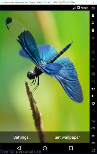 Ladybug 3D Live Wallpaper 5 تصوير الشاشة
