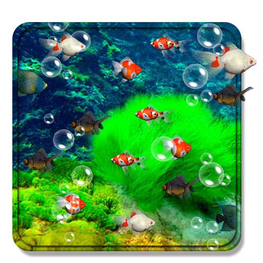 Aquarium Live WallPaper JassDroid 8646.0