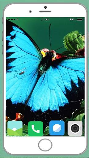 Butterfly Full HD Wallpaper screenshot 5