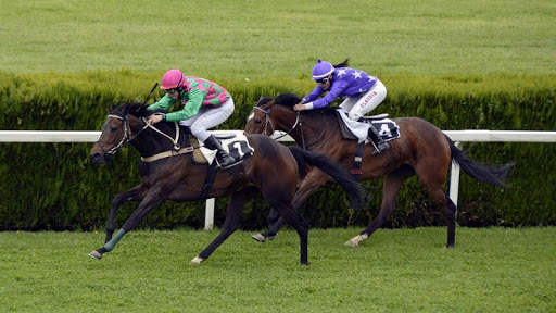 Horse Racing Wallpaper screenshot 2