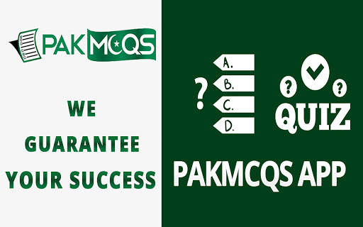 PakMcqs Quiz screenshot 11