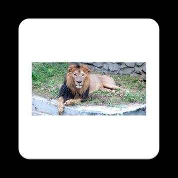 Mysore Zoo screenshot 1
