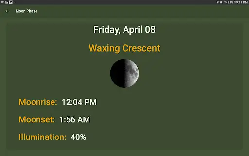 What The Forecast screenshot 22