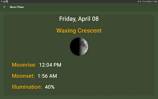 What The Forecast скриншот 22
